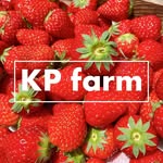 KP farm
